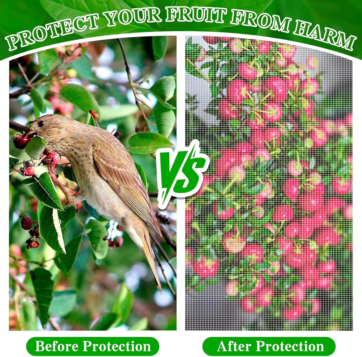 4 Pcs Plant Barrier Net Mesh, Plant Barrier Net Mesh, Bird Netting, Barrier Bags for Vegetables Fruits, Tomato Plant Netting for Protect Plants from Birds(6.56 x 6.56 FT)
