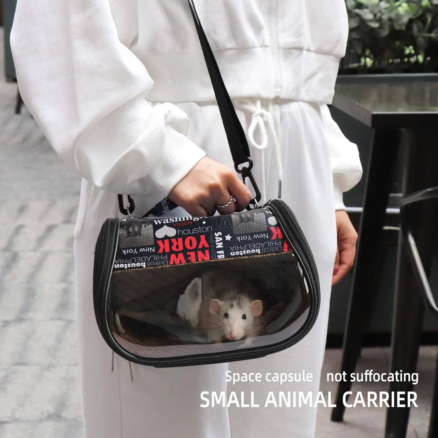 Small pet Backpack Suitable for Hamsters, Birds, and Sugar Gliders - Transparent Bird Backpack with Ventilation Holes, Adjustable Straps, Detachable Bamboo Lining (Black)