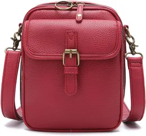 Vintage Crossbody Bags for Women, Anti Theft Purse With 10 Card Slot Messenger Shoulder Handbag Built In Wallet